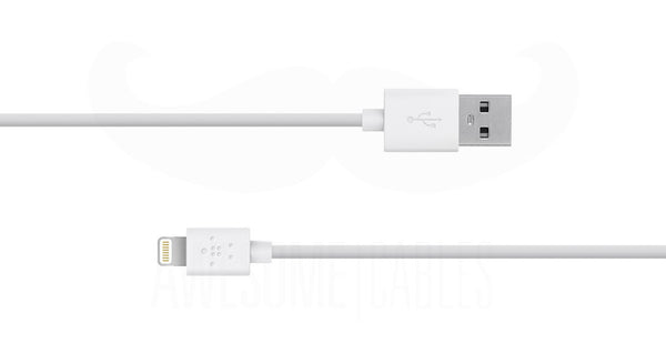 Belkin 10 Ft iPhone 5 Lightning Cable