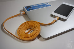 3 FT iPhone 5 Lightning Noodle Cable1234567