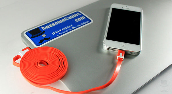 3 FT iPhone 5 Lightning Noodle Cable1234567